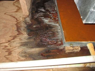 About water damage restoration service - emergency water extraction services experts in Oakland